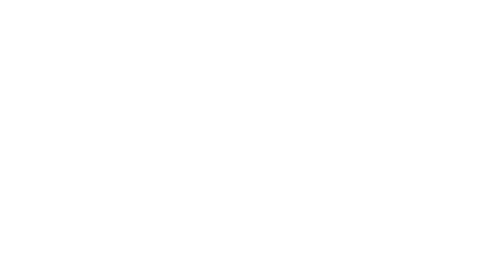 The Partner Solution